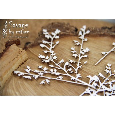 Savage by Nature - Small branches 01